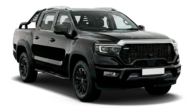 Превью FOTON Tunland V9